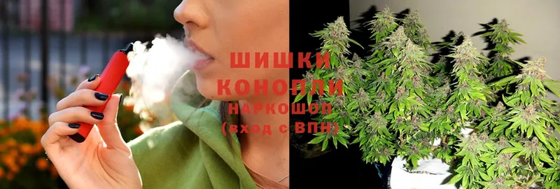 Бошки марихуана SATIVA & INDICA  дарнет шоп  mega зеркало  Ивантеевка 